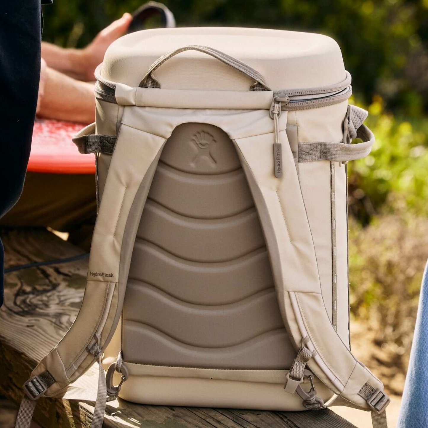 22L Carryout Backpack